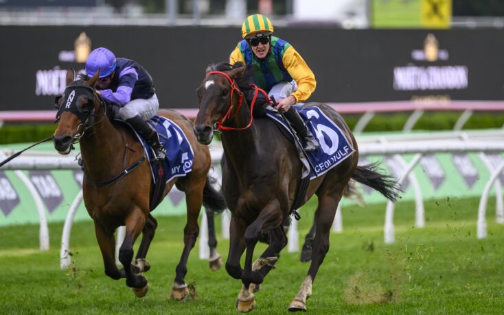 这一体系也 这一体系也