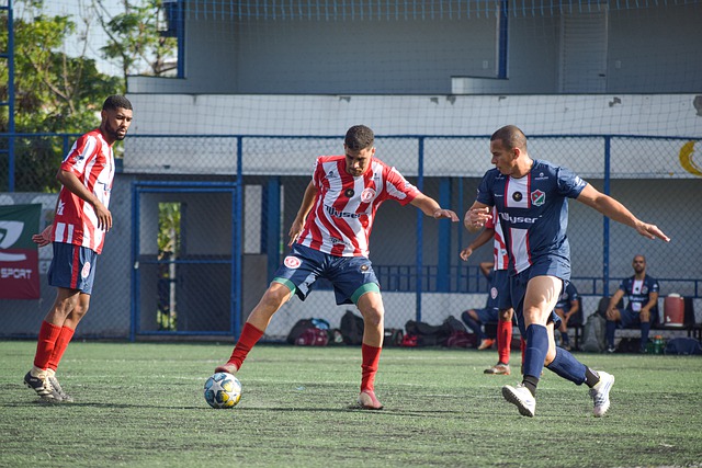 立厚实的屏 立厚实的屏